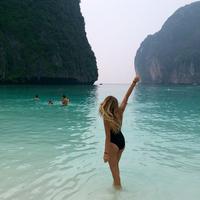 Отзыв от Алиса - DTV виза